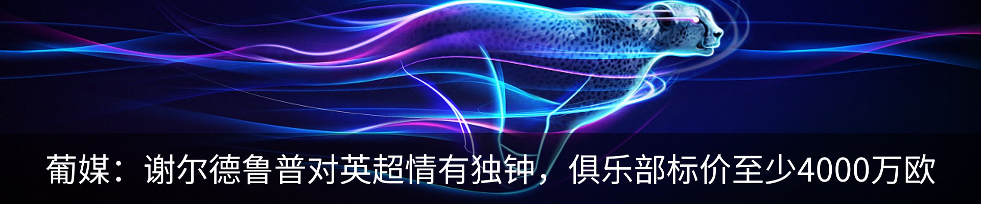 最新动态