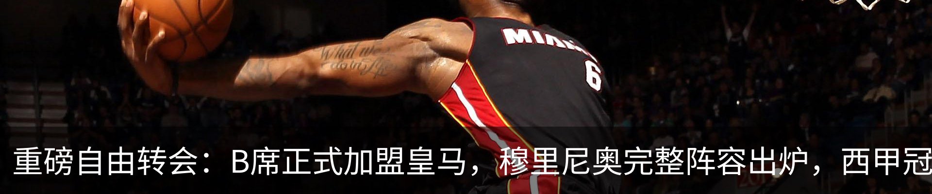 最新动态
